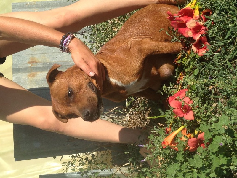 Original Product Give me love